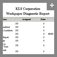 Workpaper diagnostic report for our financial audit software