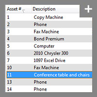 Our depreciation software has many easy to use wizards