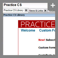 Custom reports made easy with the Practice CS Library Portlet feature (screenshot) - click for more detail